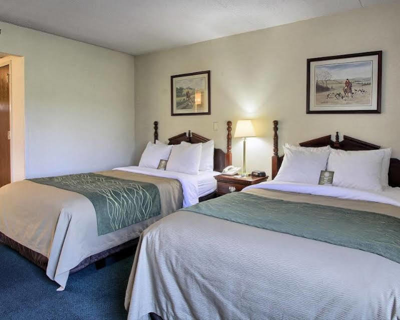 Super 8 By Wyndham I-81 Chambersburg